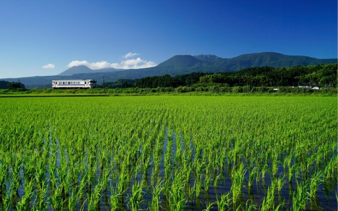 吉都線風景