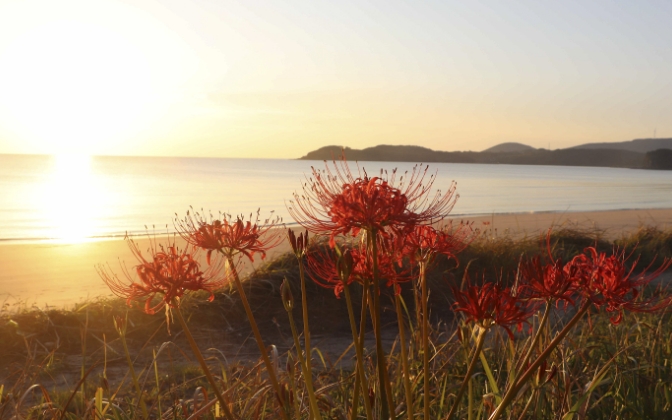 Wakimoto Beach