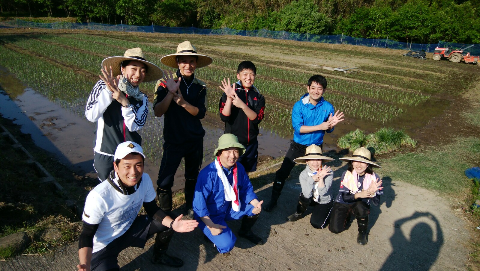 「くにさき七島藺（しちとうい）」植え付け体験