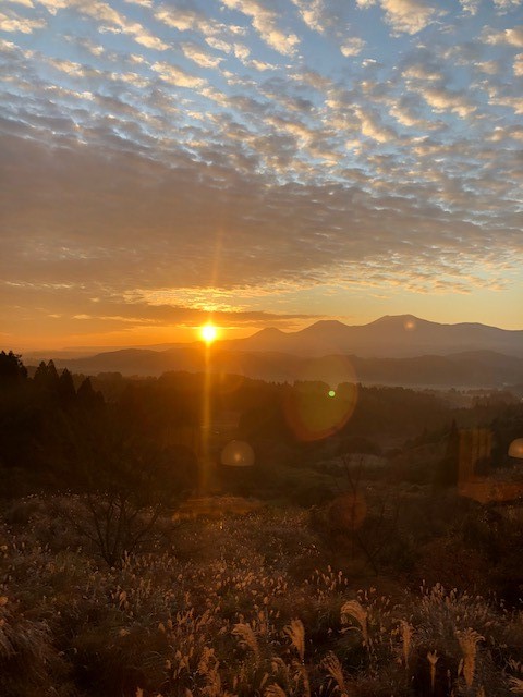 私の好きな朝の風景