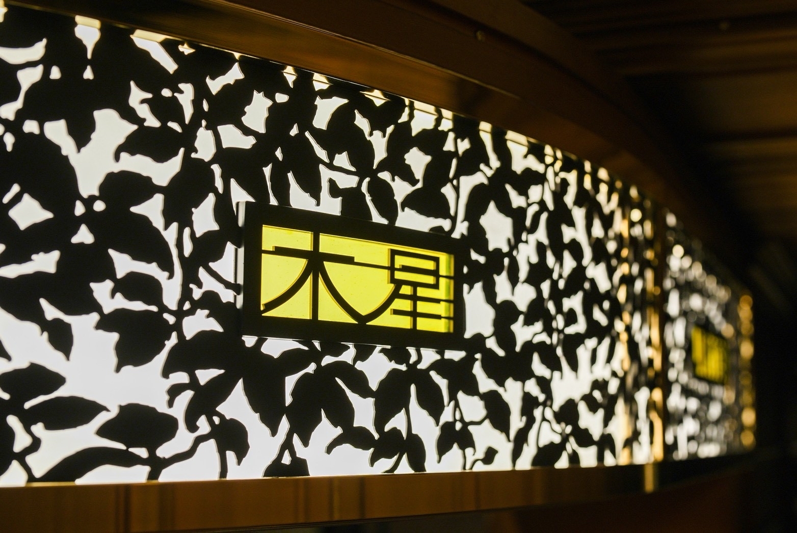 サロンカー 「木星」