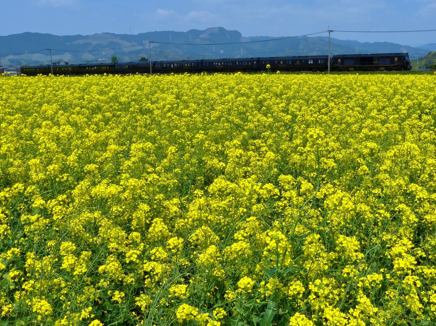 3年半の旅路を終えて — 支えてくださった皆さまへ